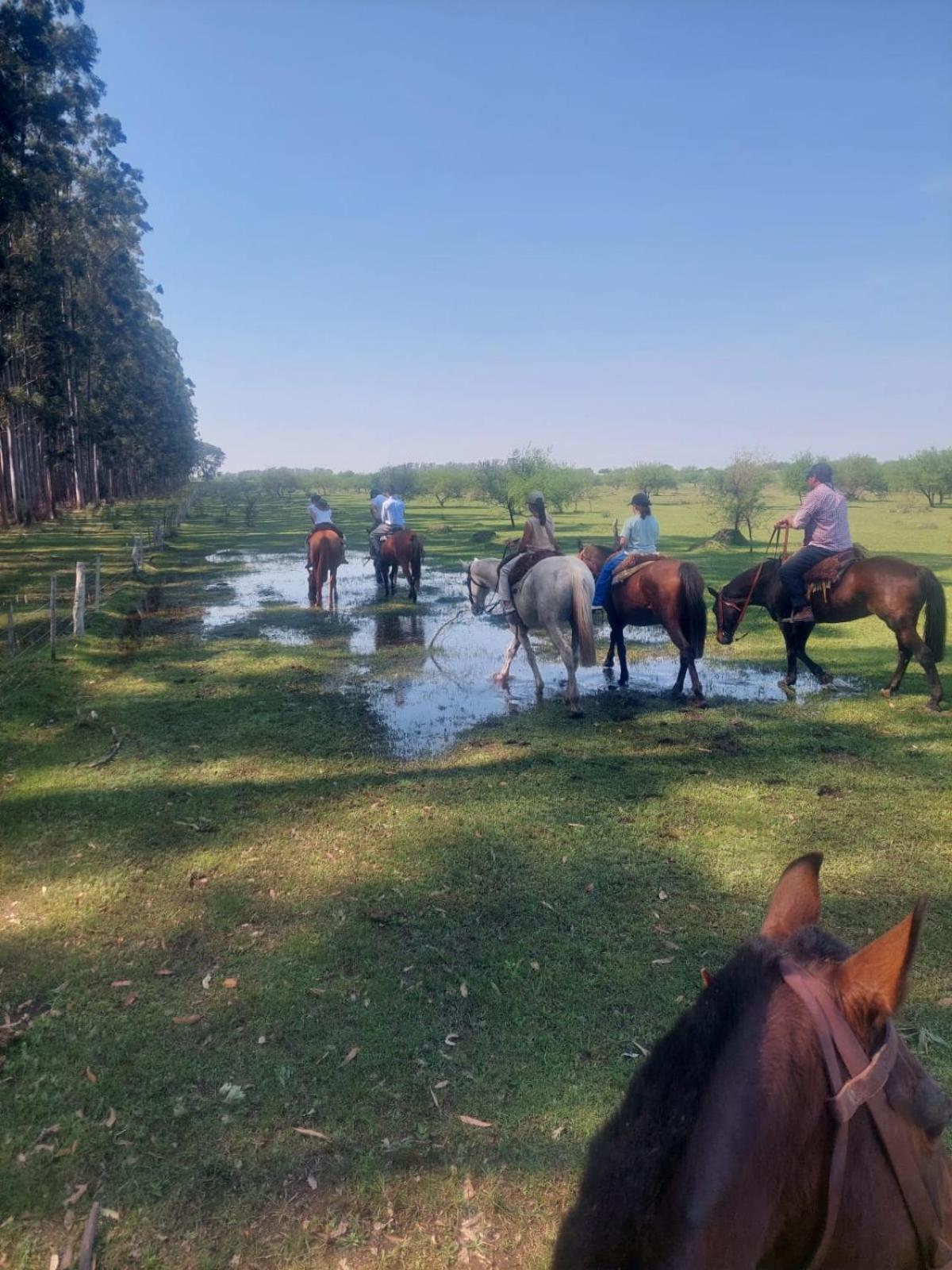 Estancia La Violeta Chajarí Dış mekan fotoğraf