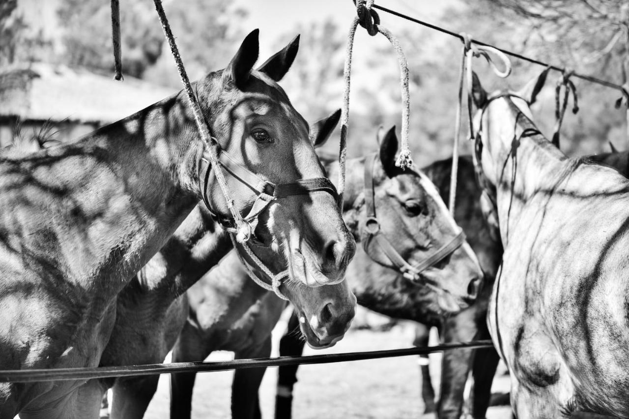 Estancia La Violeta Chajarí Dış mekan fotoğraf