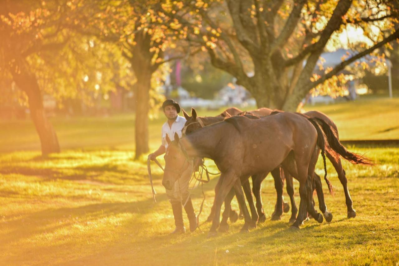 Estancia La Violeta Chajarí Dış mekan fotoğraf