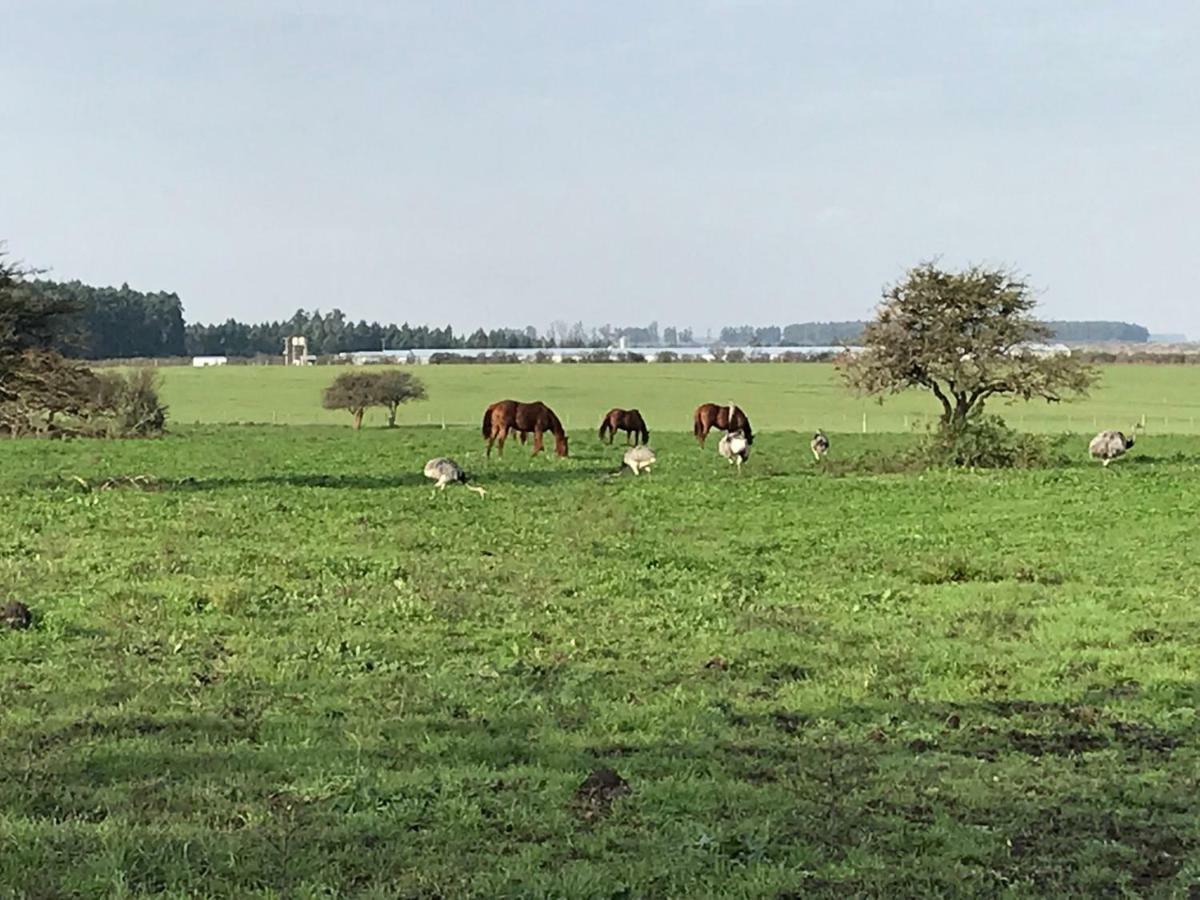 Estancia La Violeta Chajarí Dış mekan fotoğraf